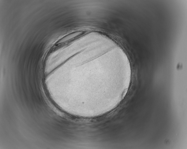 X0000112720049200910011142