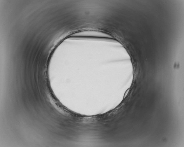 X0000112720050200910011142