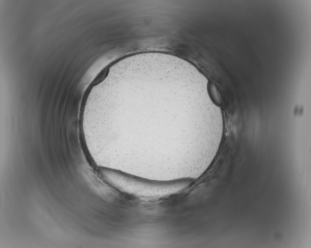 X0000112720052200910011142