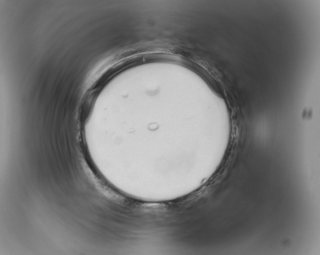 X0000112720053200910011142