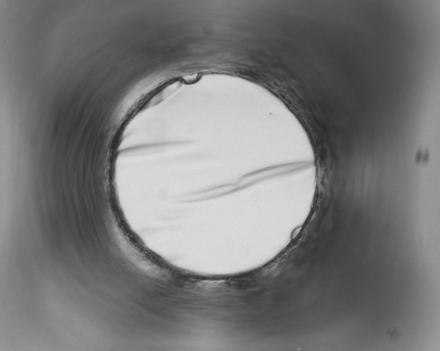 X0000112720054200910011142