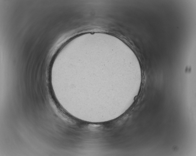 X0000112720055200910011142