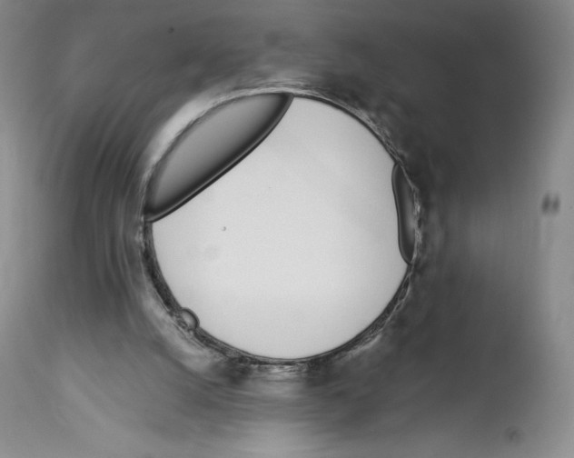 X0000112720056200910011142