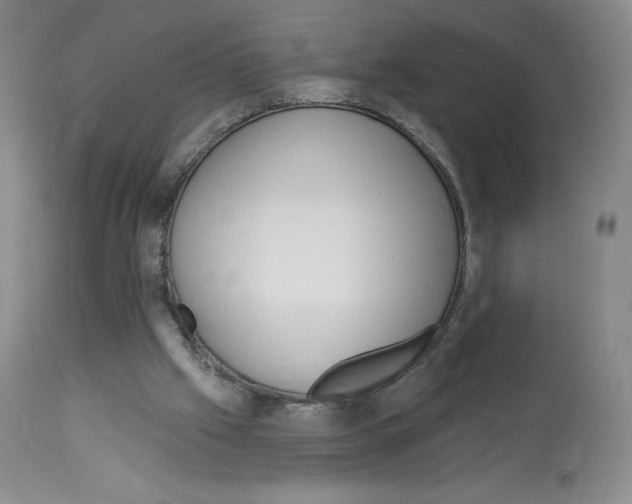 X0000112720057200910011142