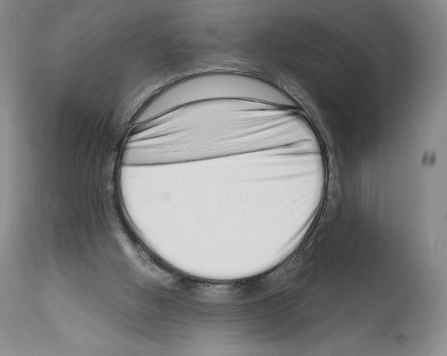 X0000112720058200910011142