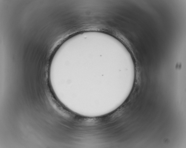 X0000112720059200910011142