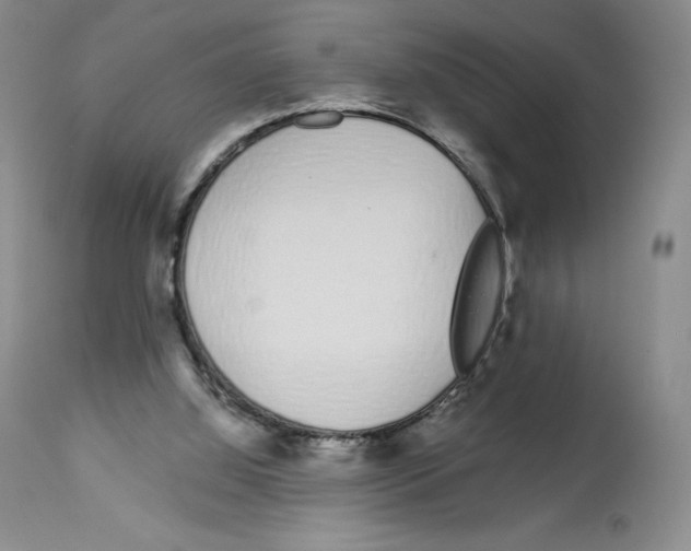 X0000112720060200910011142