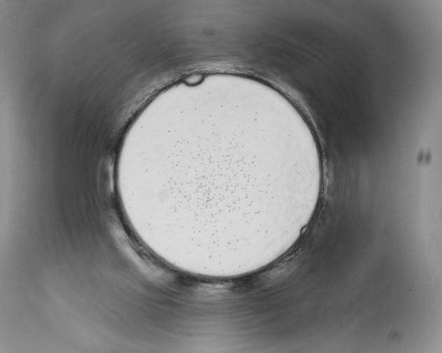 X0000112720061200910011142