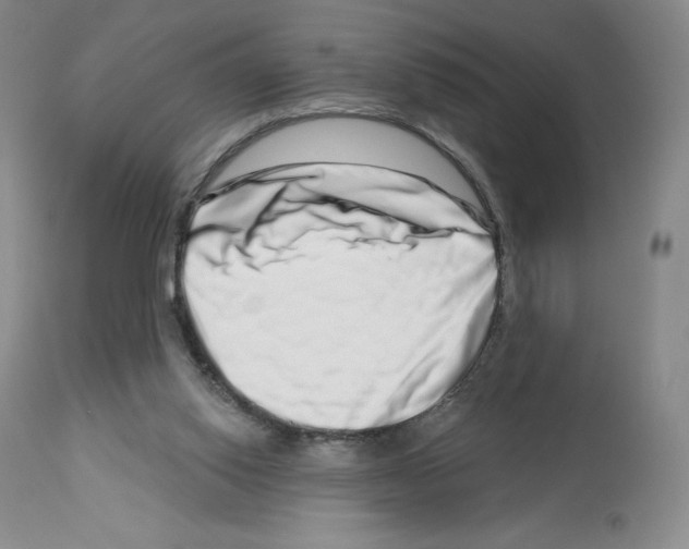 X0000112720062200910011142