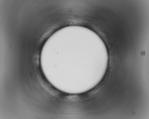 X0000112720067200910011143