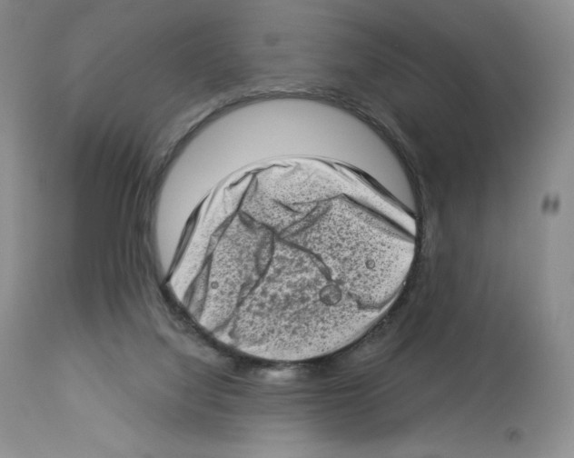 X0000112720068200910011143