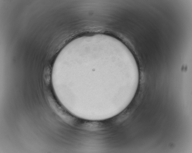 X0000112720069200910011143