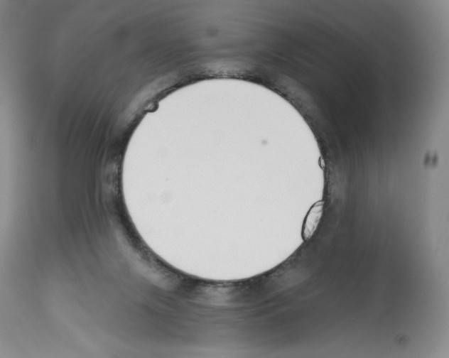 X0000112720071200910011143