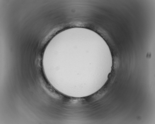 X0000112720072200910011143