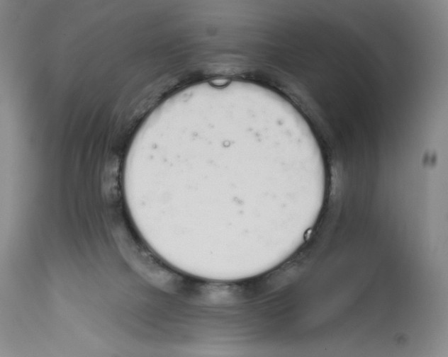 X0000112720073200910011143