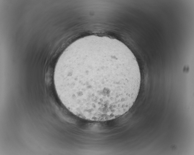 X0000112720074200910011143