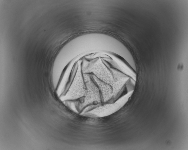 X0000112720076200910011143