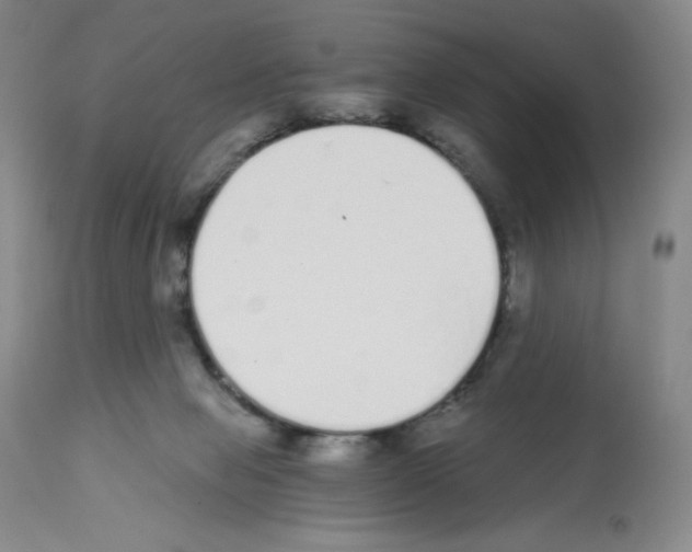 X0000112720077200910011143