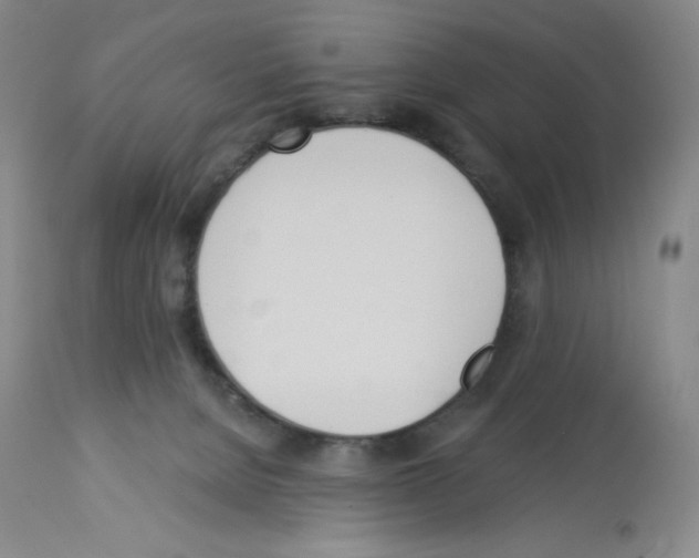 X0000112720080200910011143