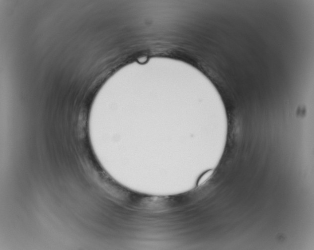 X0000112720082200910011143