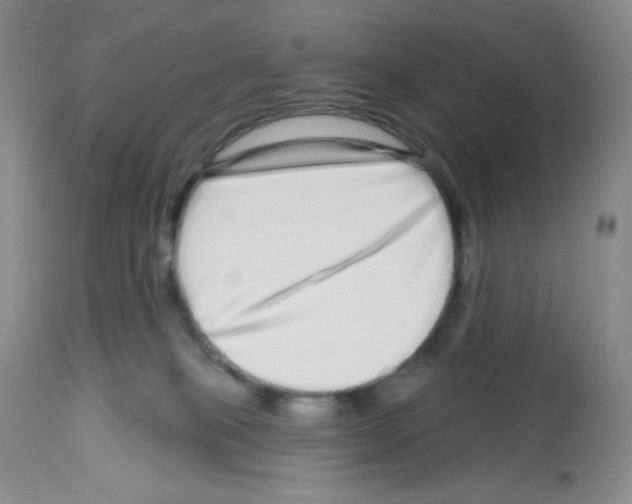 X0000112720085200910011143