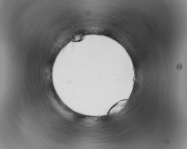 X0000112720086200910011143