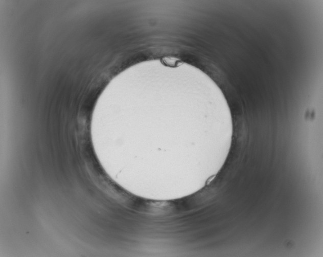 X0000112720087200910011143