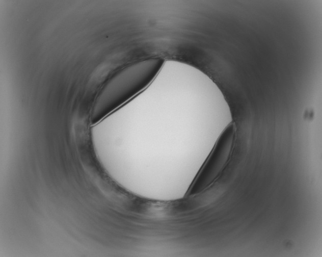 X0000112720088200910011143