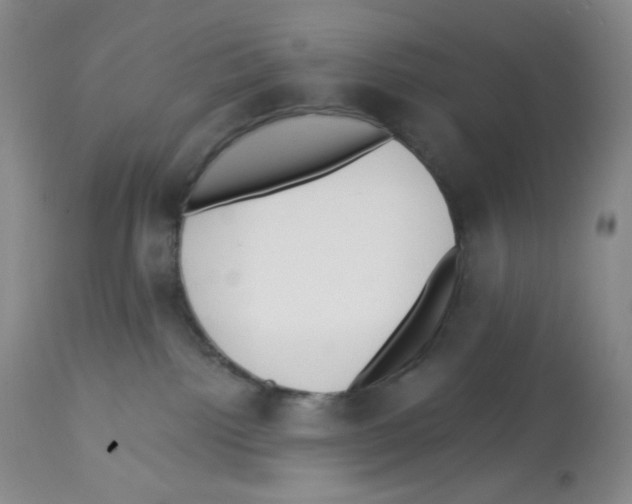 X0000112720092200910011143