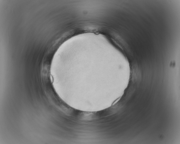 X0000112720093200910011143