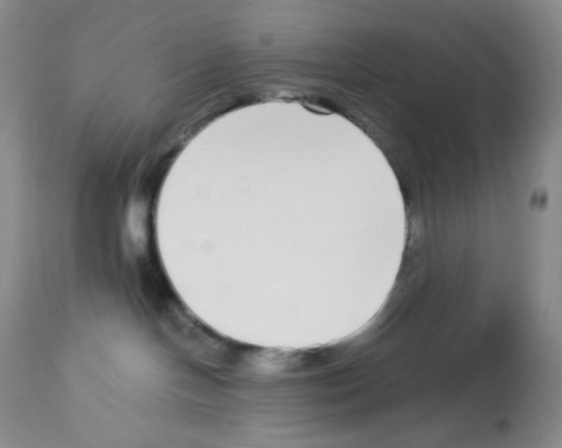 X0000112720094200910011143