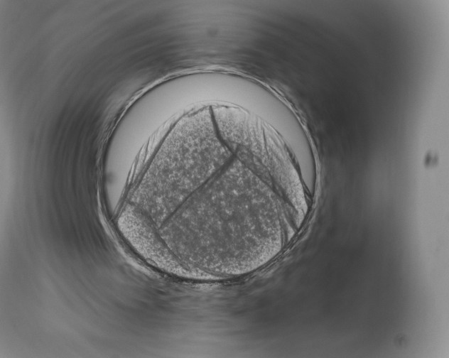 X0000112720097200910011142