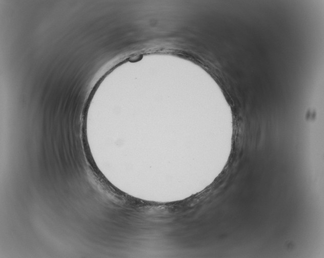 X0000112720100200910011142