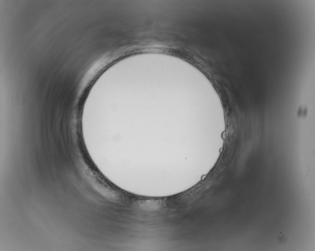 X0000112720102200910011142