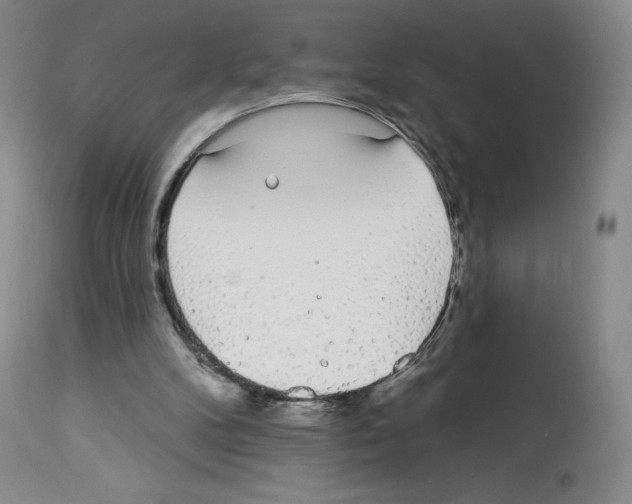 X0000112720104200910011142