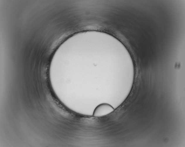 X0000112720106200910011142