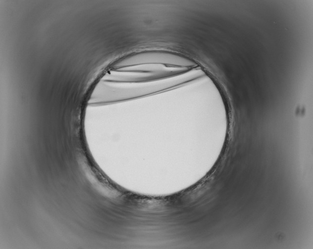 X0000112720107200910011142