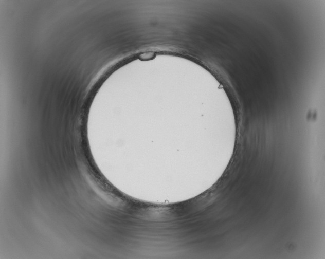 X0000112720108200910011142