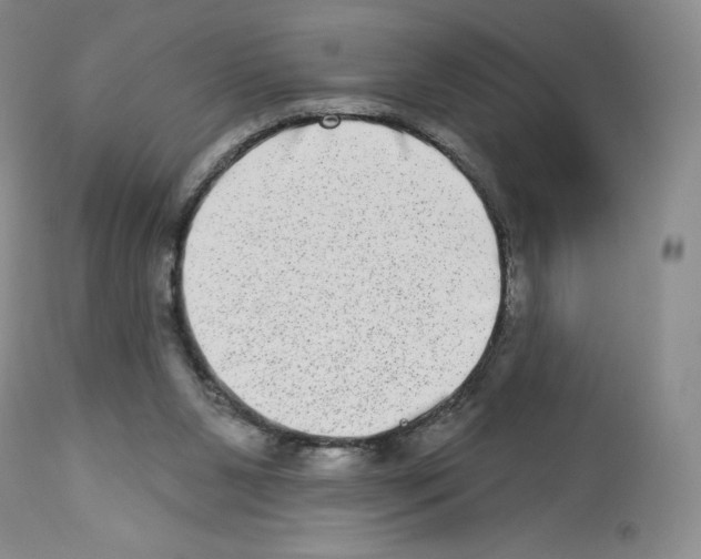 X0000112720111200910011142