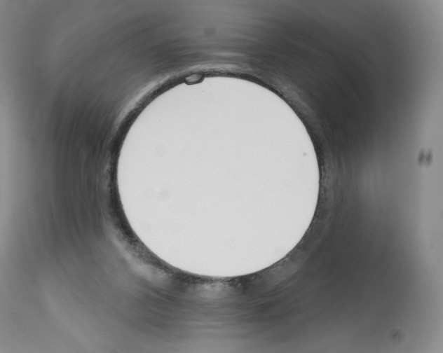 X0000112720112200910011142