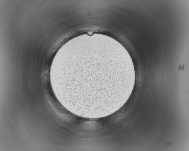 X0000112720119200910011142