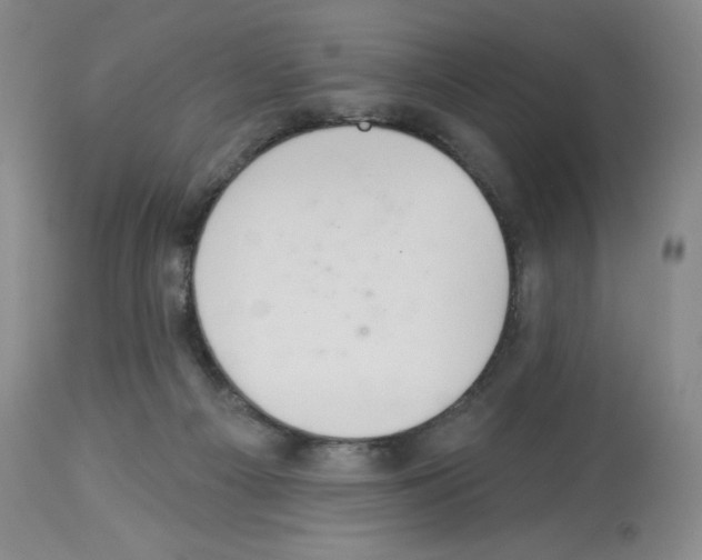 X0000112720121200910011142