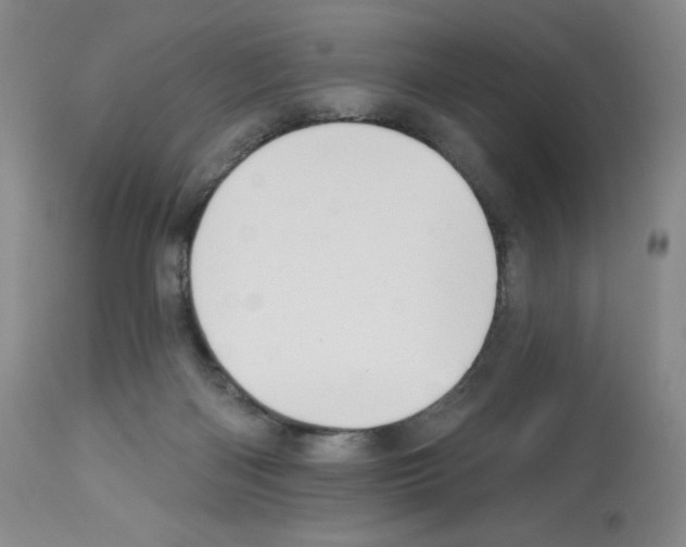 X0000112720122200910011142