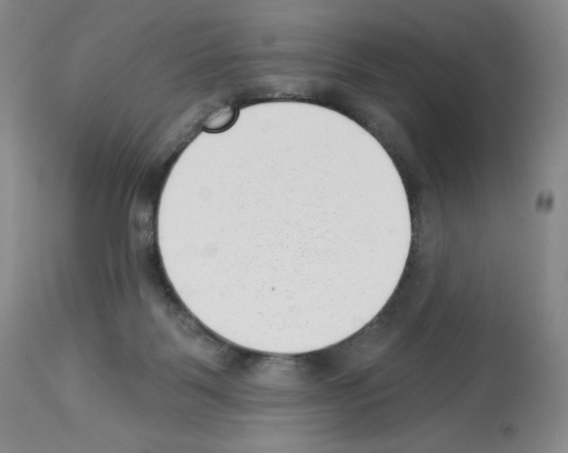 X0000112720123200910011142