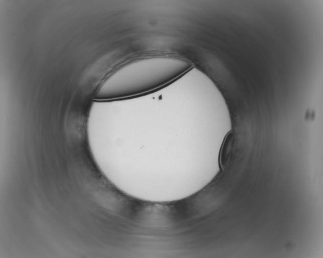 X0000112720125200910011142