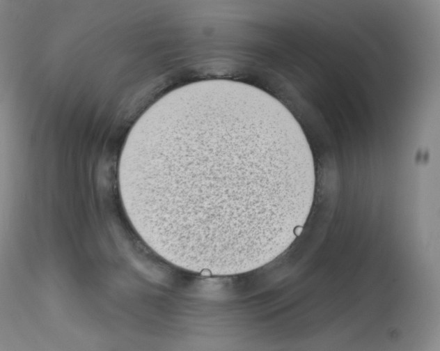 X0000112720126200910011142