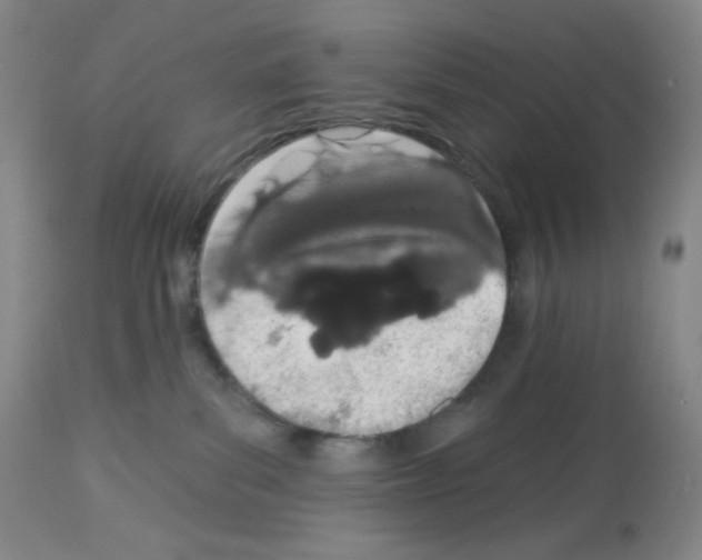 X0000112720139200910011142