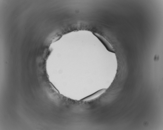 X0000112720144200910011142