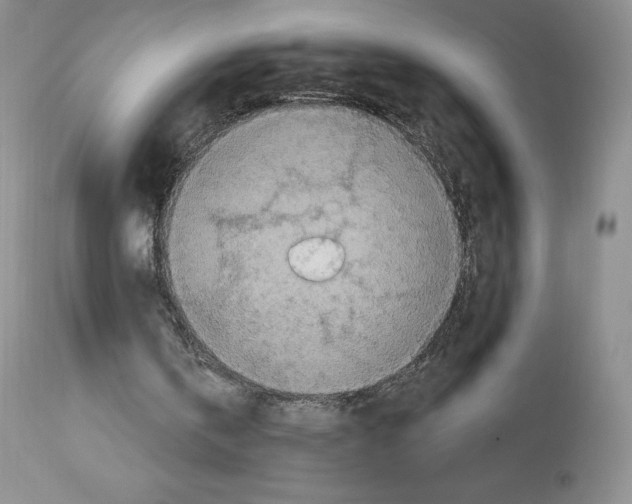 X0000112720146200910011141