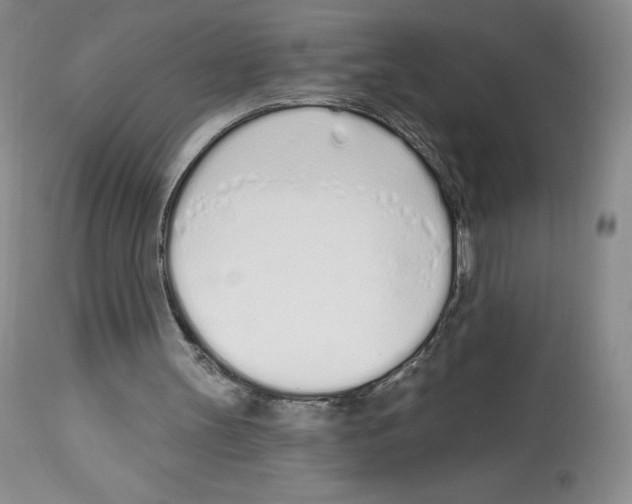 X0000112720147200910011141